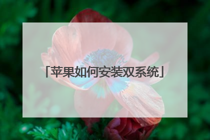 苹果如何安装双系统