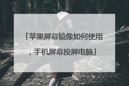 苹果屏幕镜像如何使用,手机屏幕投屏电脑