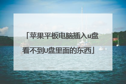 苹果平板电脑插入u盘看不到U盘里面的东西
