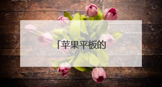 苹果平板的笔如何使用