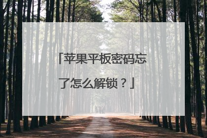 苹果平板密码忘了怎么解锁?