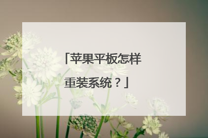 苹果平板怎样重装系统?