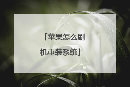 苹果怎么刷机重装系统