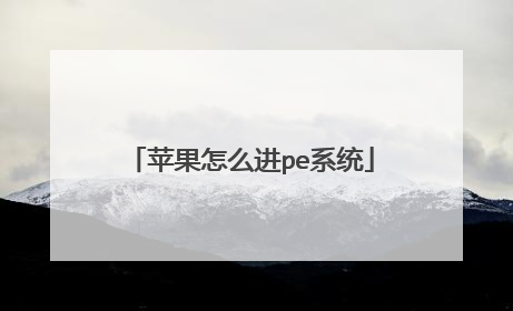 苹果怎么进pe系统