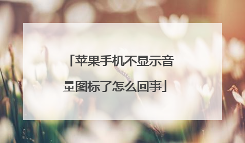 苹果手机不显示音量图标了怎么回事