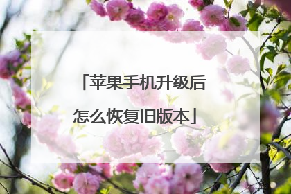 苹果手机升级后怎么恢复旧版本
