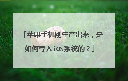 苹果手机刚生产出来，是如何导入iOS系统的？