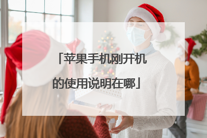 苹果手机刚开机的使用说明在哪