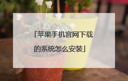 苹果手机官网下载的系统怎么安装