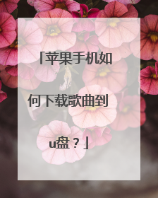 苹果手机如何下载歌曲到u盘?
