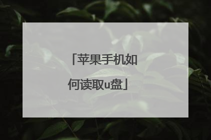 苹果手机如何读取u盘