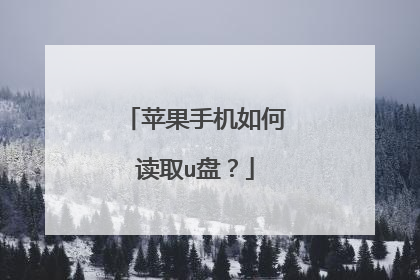 苹果手机如何读取u盘?