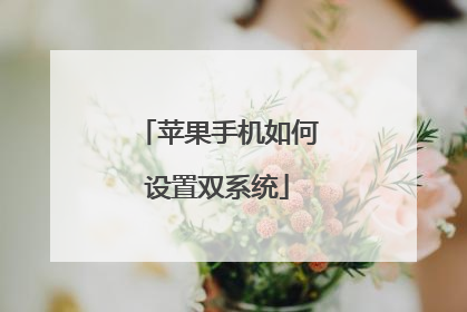 苹果手机如何设置双系统