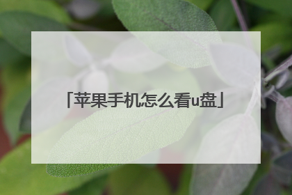 苹果手机怎么看u盘