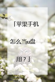 苹果手机怎么当u盘用?