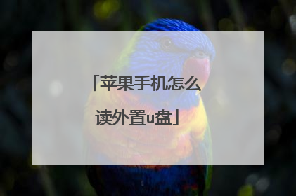 苹果手机怎么读外置u盘