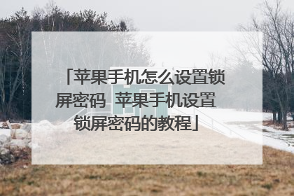 苹果手机怎么设置锁屏密码 苹果手机设置锁屏密码的教程