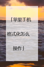 苹果手机格式化怎么操作