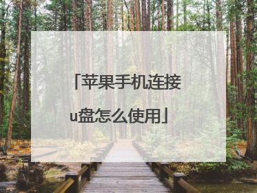 苹果手机连接u盘怎么使用
