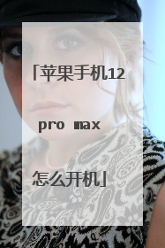 苹果手机12pro max怎么开机