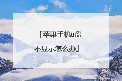 苹果手机u盘不显示怎么办