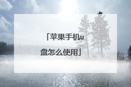 苹果手机u盘怎么使用