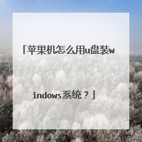 苹果机怎么用u盘装windows系统?