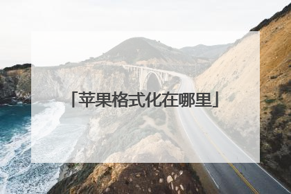 苹果格式化在哪里