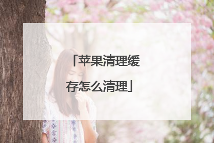 苹果清理缓存怎么清理