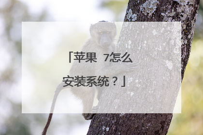 苹果 7怎么安装系统?