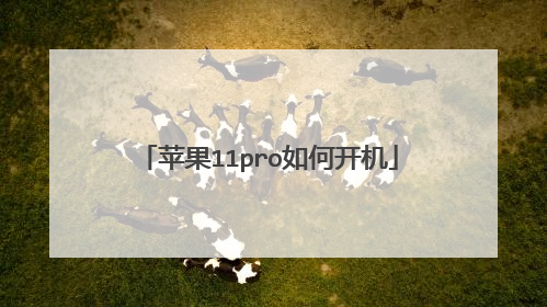 苹果11pro如何开机