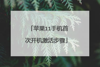 苹果11手机首次开机激活步骤