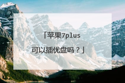 苹果7plus可以插优盘吗?