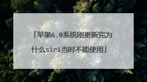 苹果6.0系统刚更新完为什么siri当时不能使用