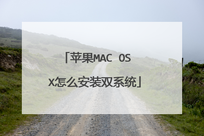 苹果MAC OS X怎么安装双系统