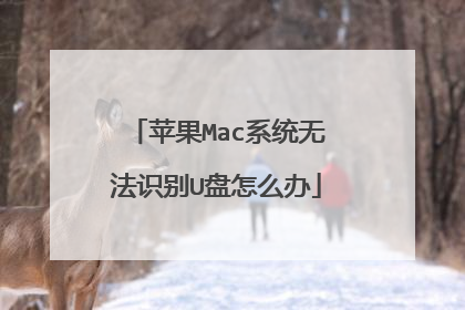 苹果Mac系统无法识别U盘怎么办