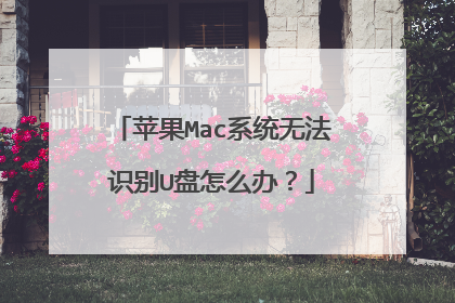 苹果Mac系统无法识别U盘怎么办？