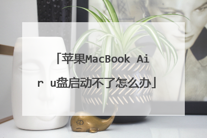 苹果MacBook Air u盘启动不了怎么办