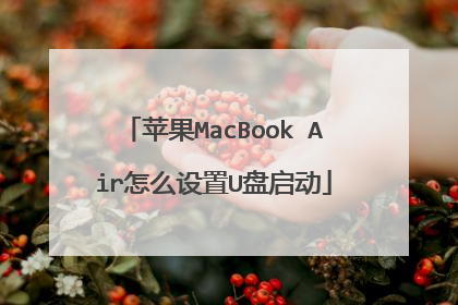 苹果MacBook Air怎么设置U盘启动