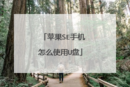 苹果SE手机怎么使用U盘