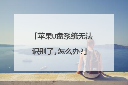 苹果U盘系统无法识别了,怎么办?