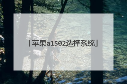 苹果a1502选择系统
