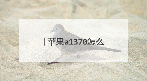 苹果a1370怎么用优盘进PE系统?