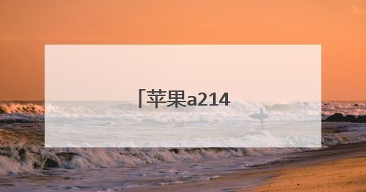 苹果a2141进不了pe