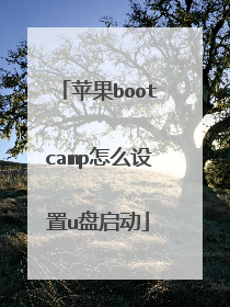 苹果bootcamp怎么设置u盘启动