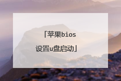 苹果bios设置u盘启动