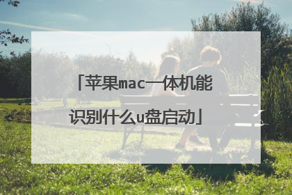苹果mac一体机能识别什么u盘启动
