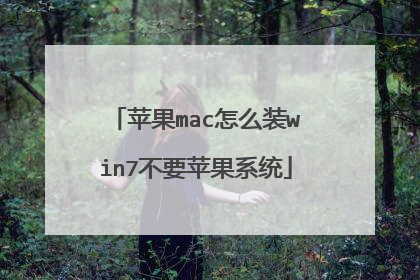 苹果mac怎么装win7不要苹果系统