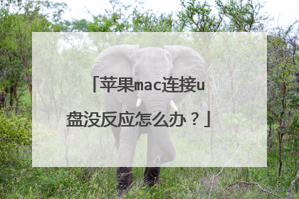 苹果mac连接u盘没反应怎么办？