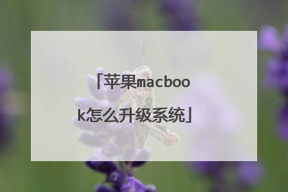 苹果macbook怎么升级系统